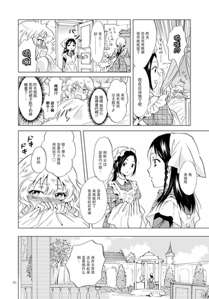 姫様と奴隷ちゃん Page #36