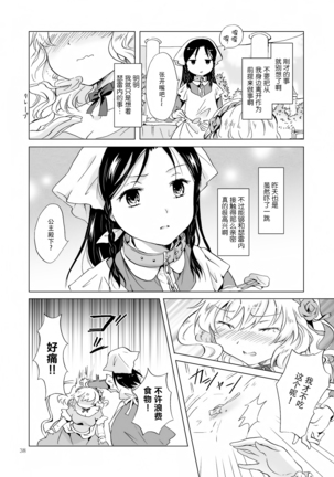 姫様と奴隷ちゃん - Page 38