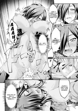 Kuroinu ~Kedakaki Seijo wa Hakudaku ni Somaru~ THE COMIC Chapters 1-8  {Kizlan} Page #12
