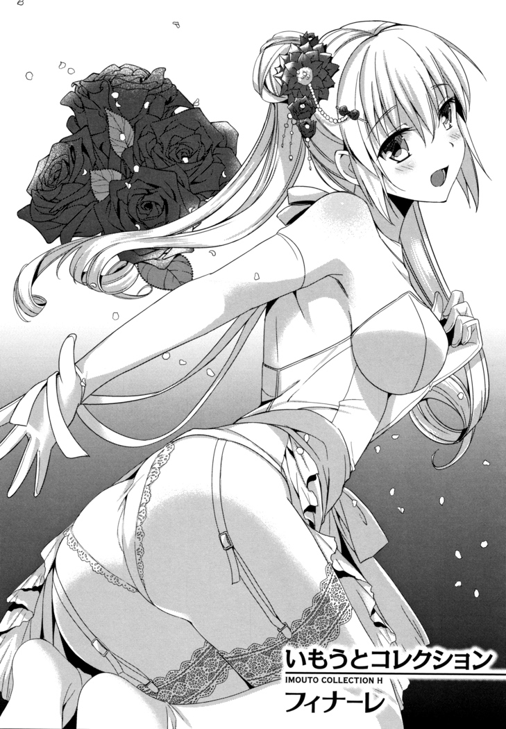 IMOUTO COLLECTION H ~Special Edition~