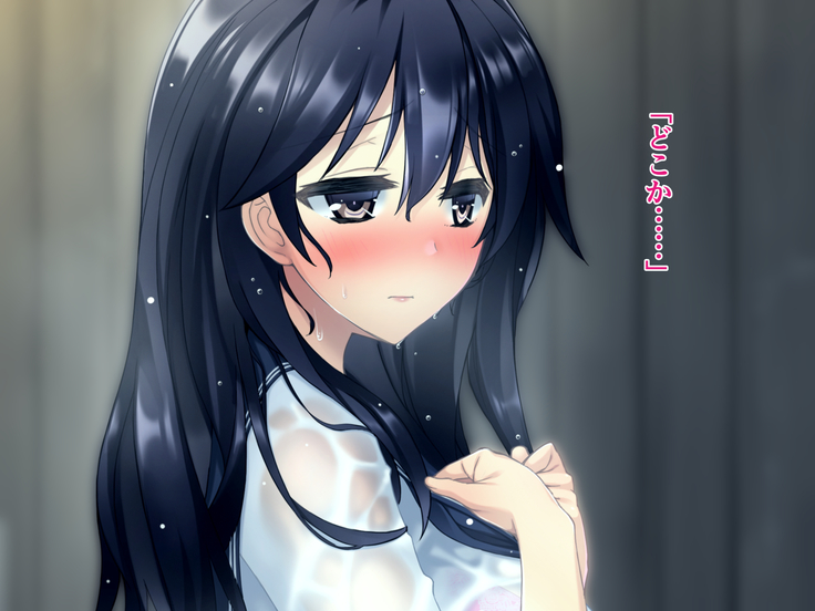 濡れスケ家出J○レ○プ ～夏の姪露～