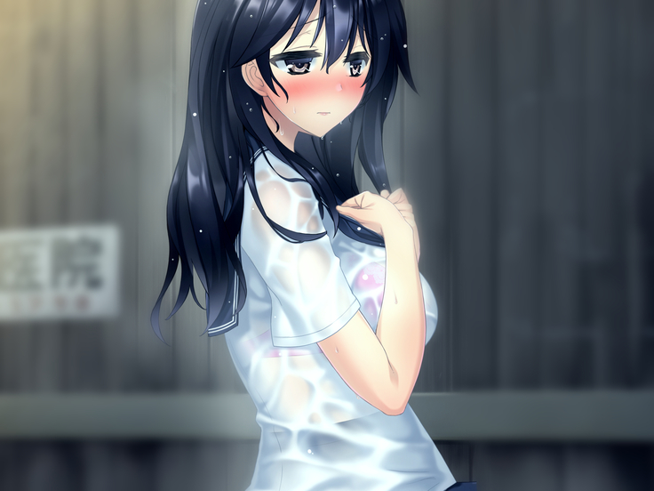 濡れスケ家出J○レ○プ ～夏の姪露～