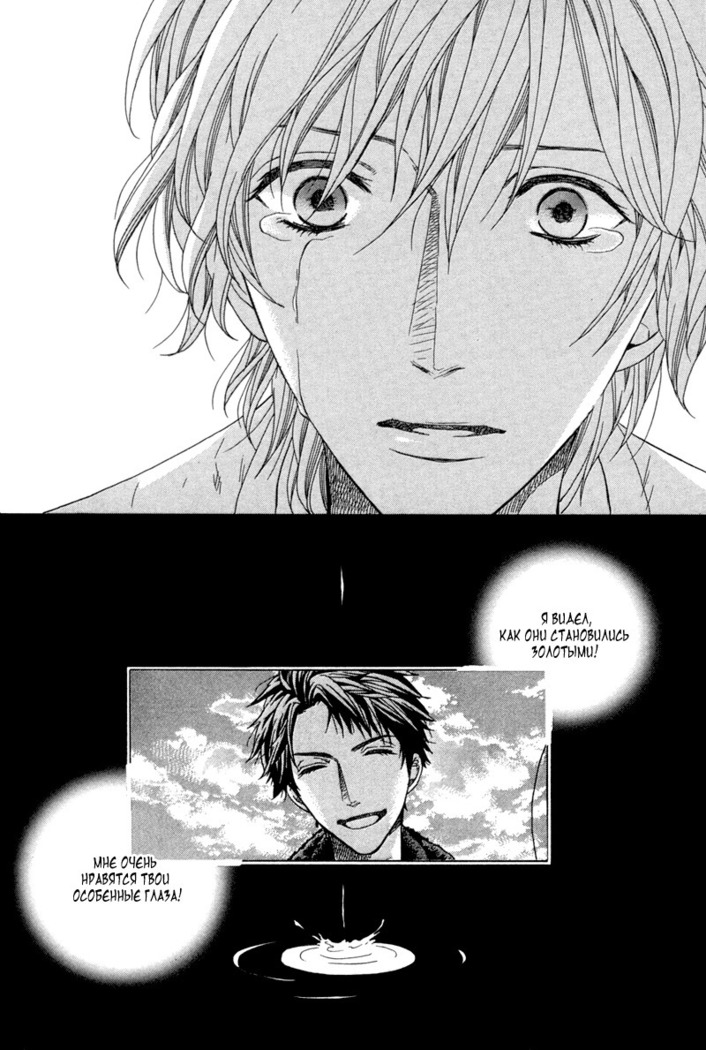 Golden Eyes