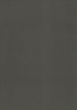 Shikikan!! Watashi ga Ireba Juubun desuyo Page #15