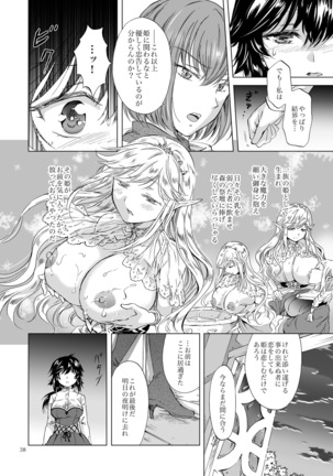 Seinaru Chichi no Elf Hime - Page 38