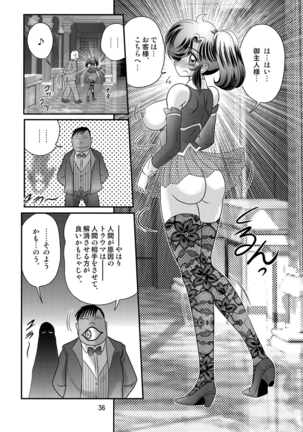 Seirei tokusō fairy saber W Kuro Kanjuu - Page 37