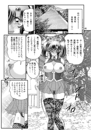 Seirei tokusō fairy saber W Kuro Kanjuu - Page 46