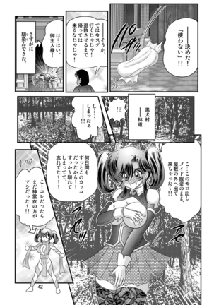 Seirei tokusō fairy saber W Kuro Kanjuu - Page 43