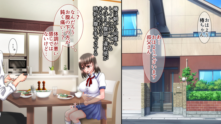 姉の忘れ形見の姪を俺は犯した～前編～