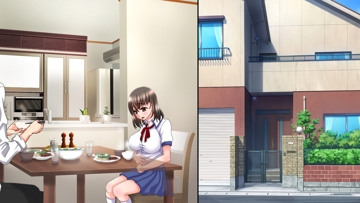 姉の忘れ形見の姪を俺は犯した～前編～