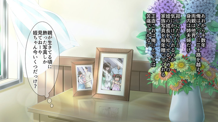 姉の忘れ形見の姪を俺は犯した～前編～