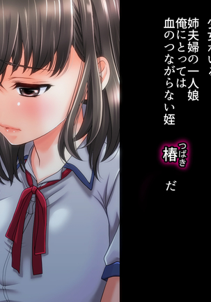 姉の忘れ形見の姪を俺は犯した～前編～ Page #14
