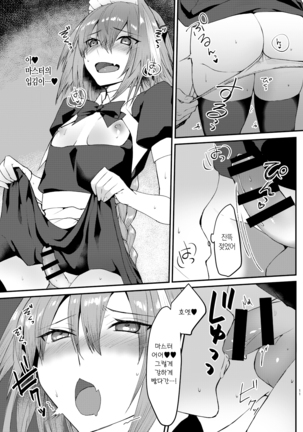 Astolfo-kun to Cosplay H suru Hon | 아스톨포와 코스프레 H하는 책