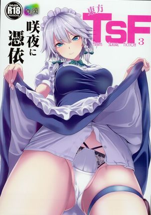 Haitokukan ] Touhou TSF 3 Sakuya ni Hyoui Page #1