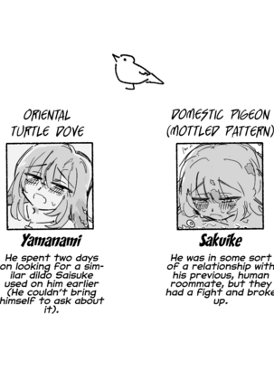 Pigeons BL - Soft and Fluffy Sex-Friends | Hato-hato - Yuru-fuwa Sefure Riba Page #18