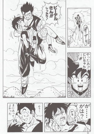 DRAGONBALL H Bessatsu Soushuuhen - Page 29