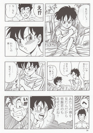 DRAGONBALL H Bessatsu Soushuuhen - Page 33