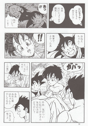 DRAGONBALL H Bessatsu Soushuuhen - Page 31