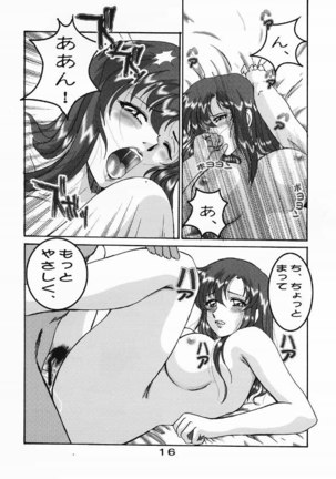 Gundam Seed Destiny - Hoheto 32 - Page 15