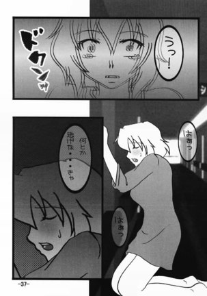 Gundam Seed Destiny - Hoheto 32 - Page 36