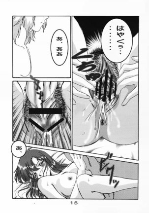 Gundam Seed Destiny - Hoheto 32 - Page 14