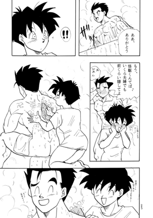 Z Page #25