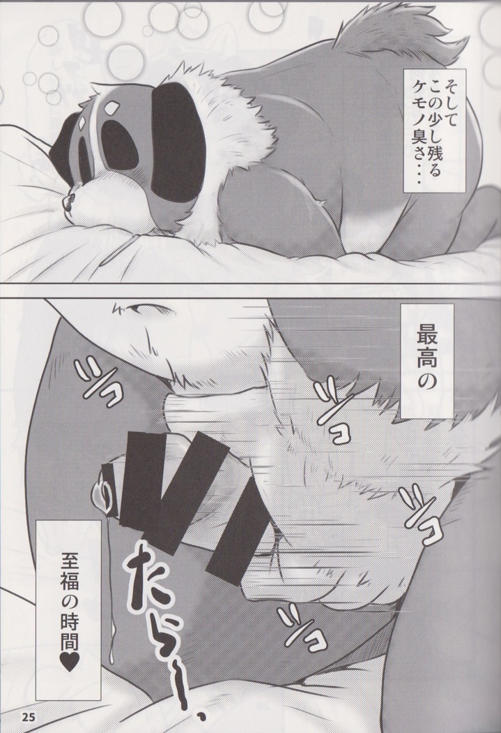 Waffle Sand Vol. 17