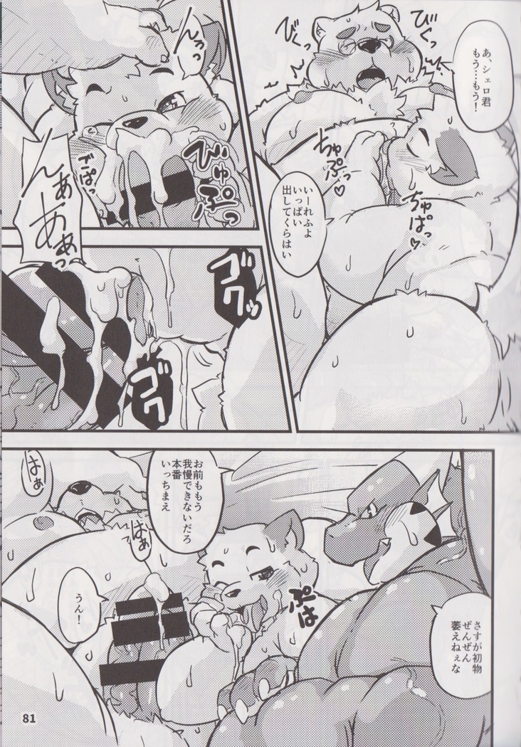 Waffle Sand Vol. 17