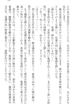 Boku wa Imouto-sama ni wa Sakaraenai - Page 257