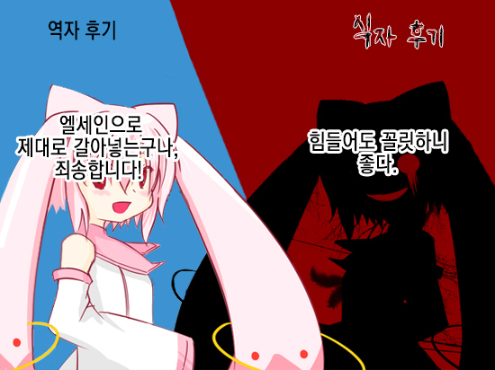 Shield Knight Elsain Vol.11 "NETHER LABORATORY"