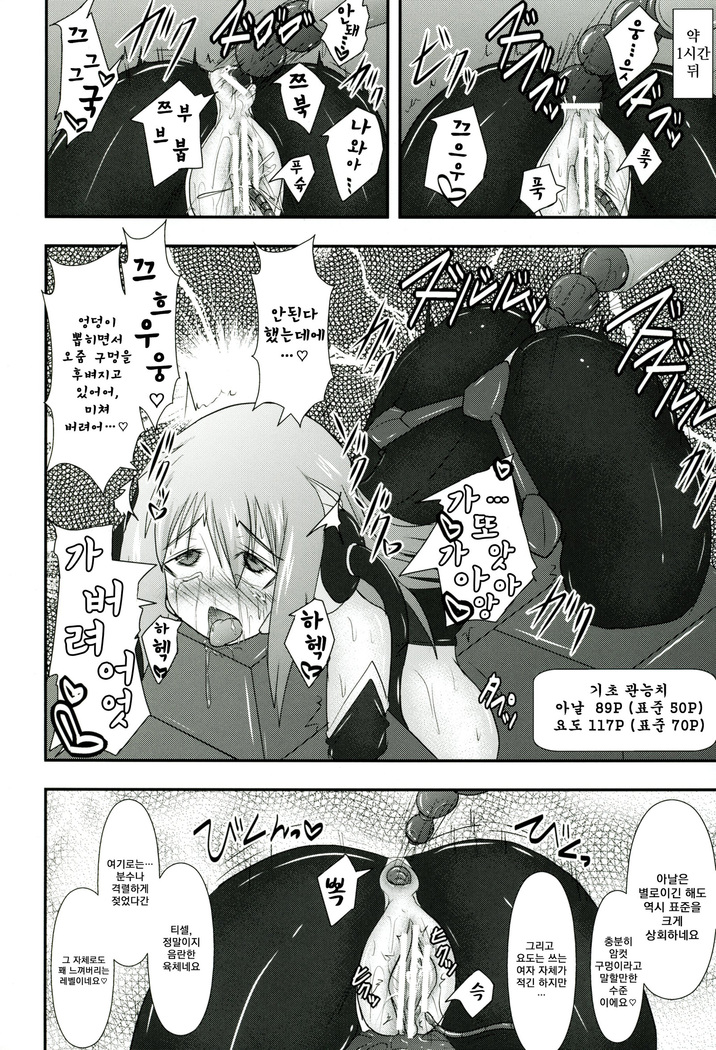 Shield Knight Elsain Vol.11 "NETHER LABORATORY"