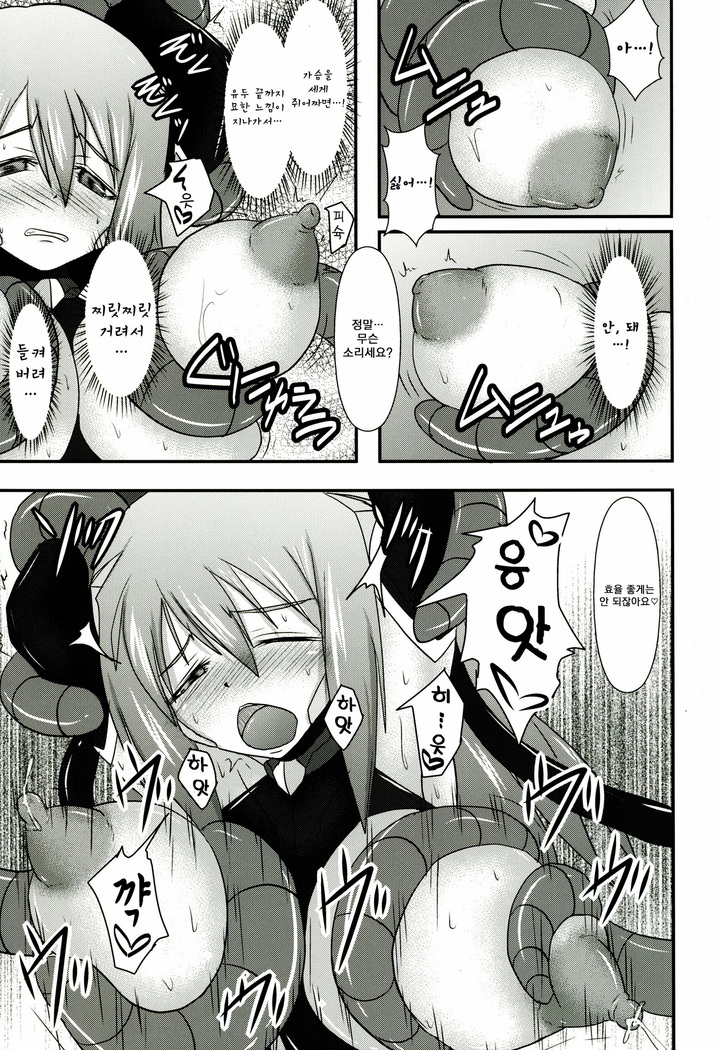 Shield Knight Elsain Vol.11 "NETHER LABORATORY"