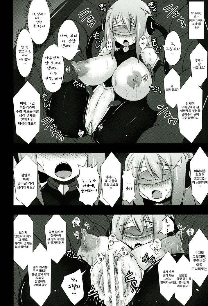 Shield Knight Elsain Vol.11 "NETHER LABORATORY"