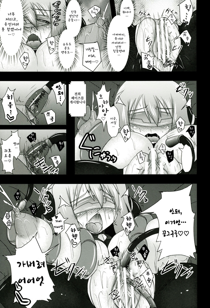 Shield Knight Elsain Vol.11 "NETHER LABORATORY"
