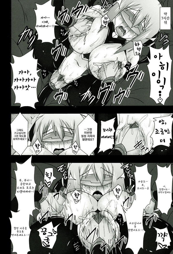 Shield Knight Elsain Vol.11 "NETHER LABORATORY"