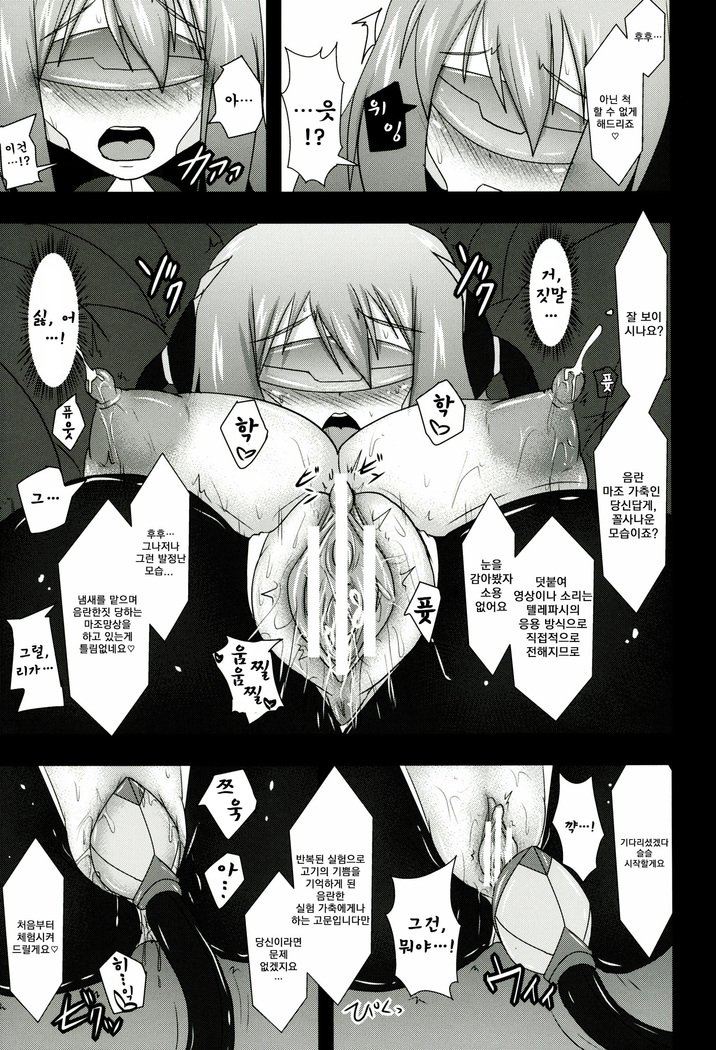 Shield Knight Elsain Vol.11 "NETHER LABORATORY"