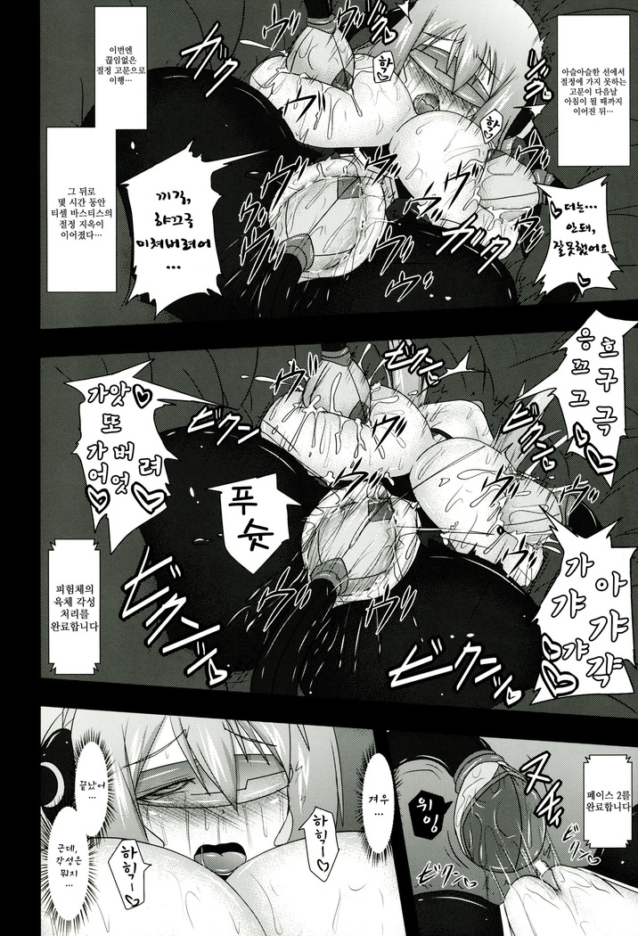 Shield Knight Elsain Vol.11 "NETHER LABORATORY"