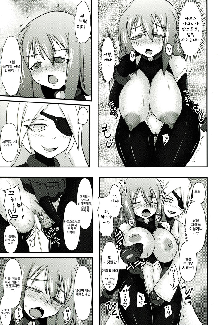 Shield Knight Elsain Vol.11 "NETHER LABORATORY"