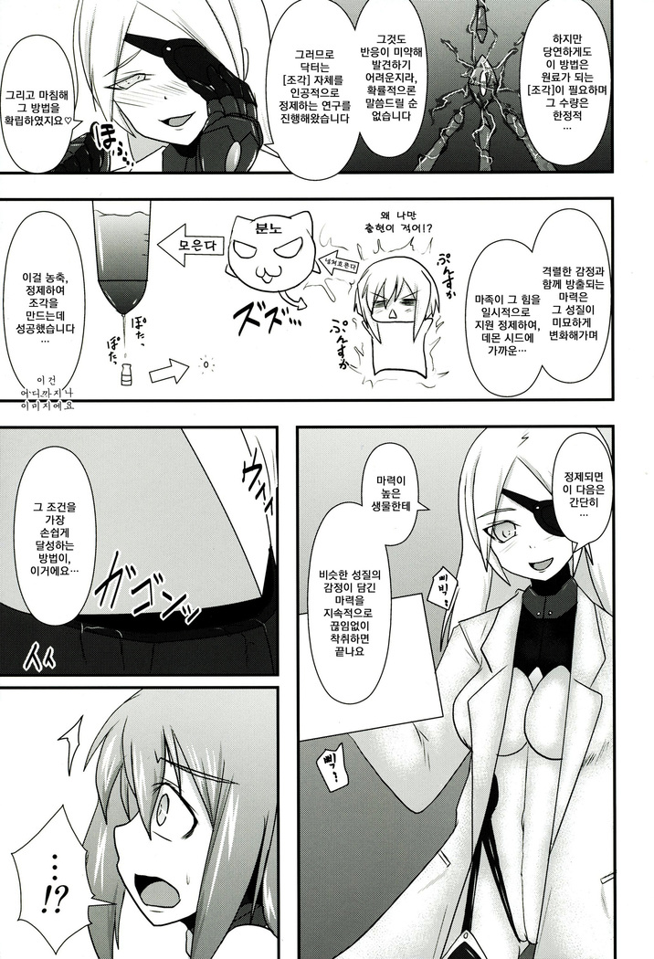 Shield Knight Elsain Vol.11 "NETHER LABORATORY"