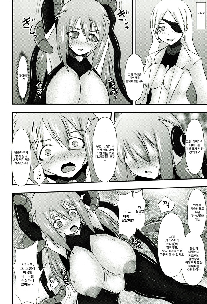 Shield Knight Elsain Vol.11 "NETHER LABORATORY"