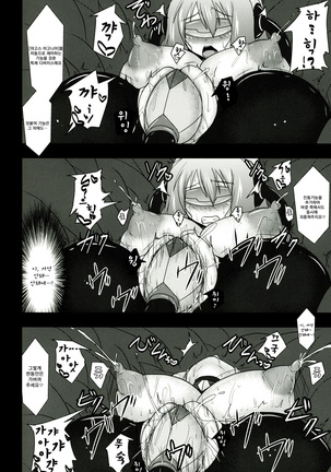Shield Knight Elsain Vol.11 "NETHER LABORATORY" Page #21