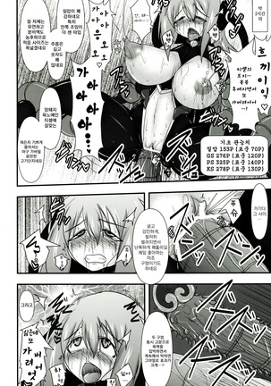 Shield Knight Elsain Vol.11 "NETHER LABORATORY" Page #17