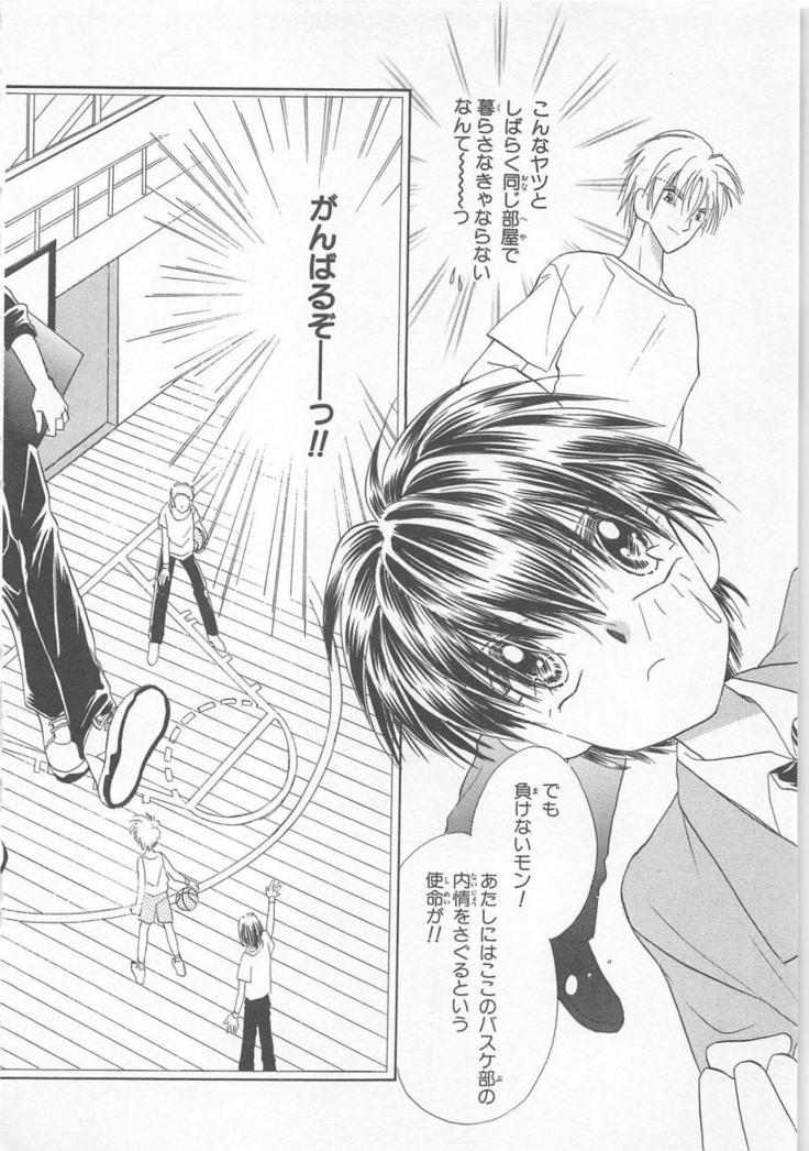 Naisho no Cute Boy