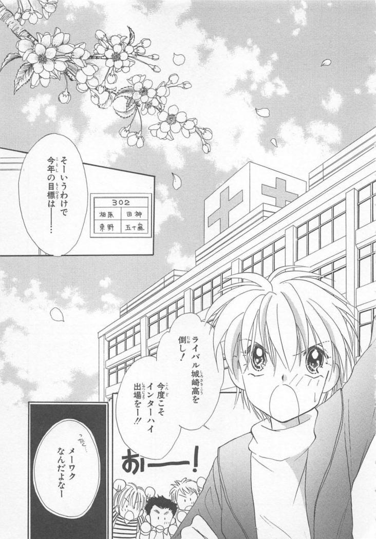 Naisho no Cute Boy