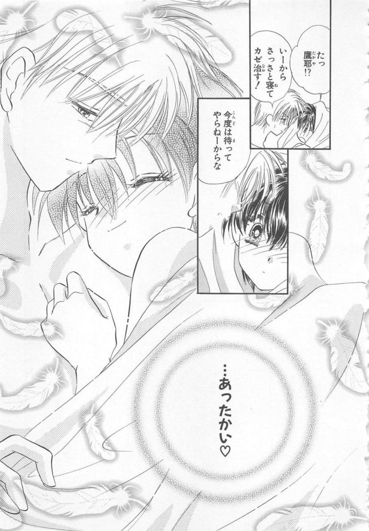 Naisho no Cute Boy