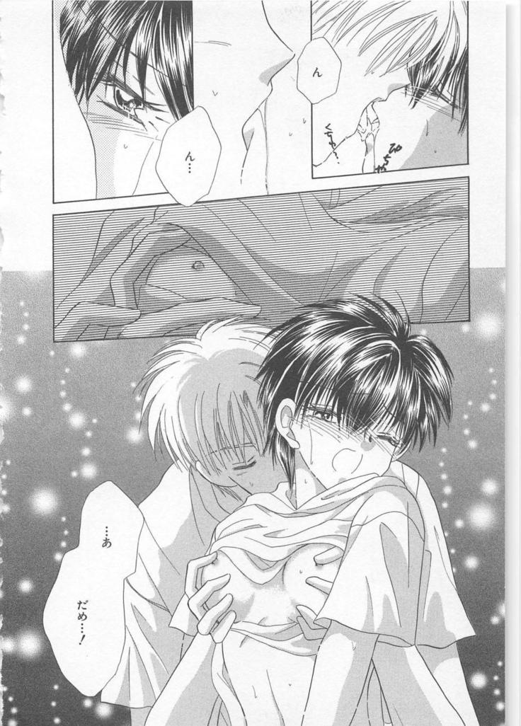 Naisho no Cute Boy