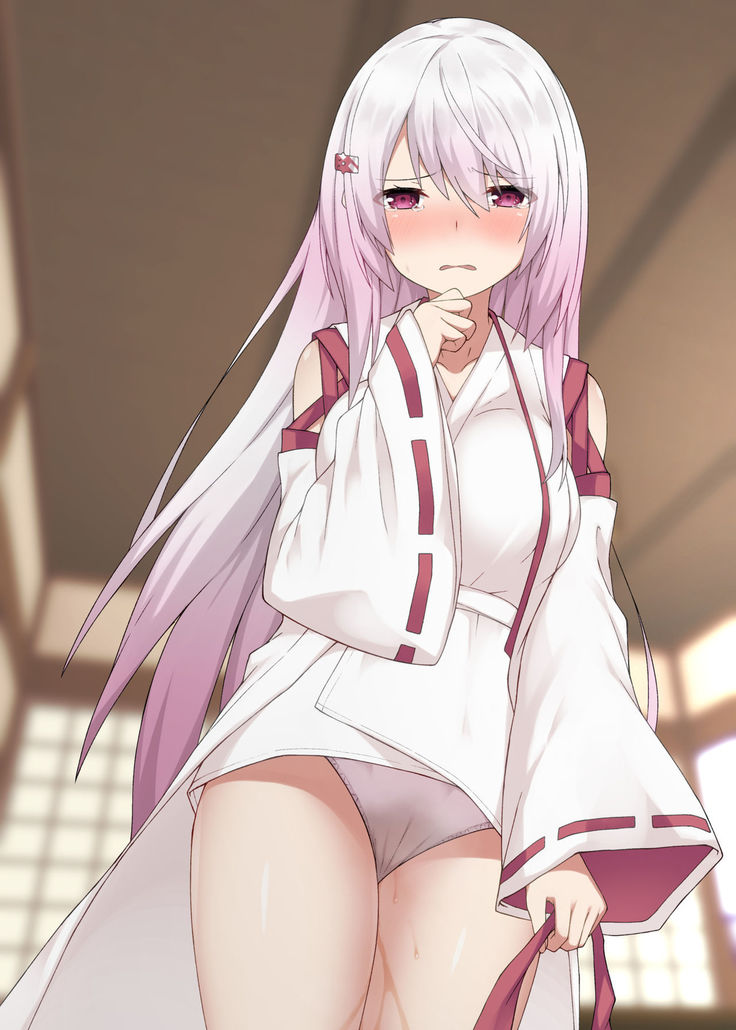 nijitosanjinomajiwaruhonfuku