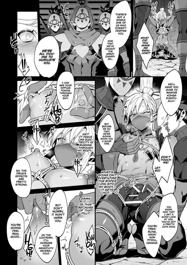 Eiketsu Ninja Gaiden ~Haiboku Hen~ | The Champion's Ninja Side Story ~Failure~