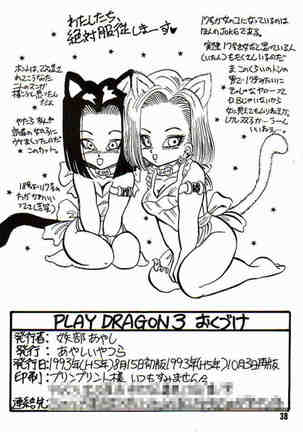 Play Dragon 3 Page #39