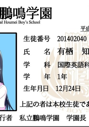 Toaru Furyou  no Kousei Nikki - Natsuyasumi no Toho - Page #263